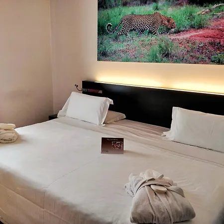 Szálloda Card International 4*